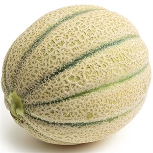 Cantaloupe Each
