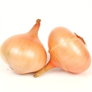 Onion Vidalia Sweet