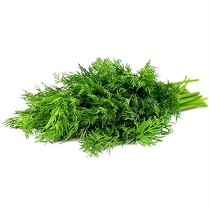 Dill