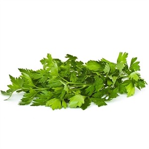 Parsley Bunch Italian