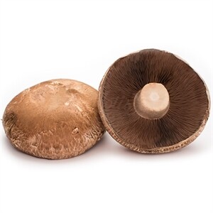 Mushrooms Crimini