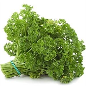 Parsley Bunch Curly