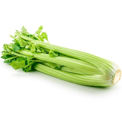 Celery Stalk By Ct