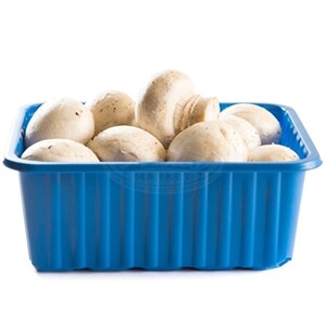 Mushroom Whole White 8 oz